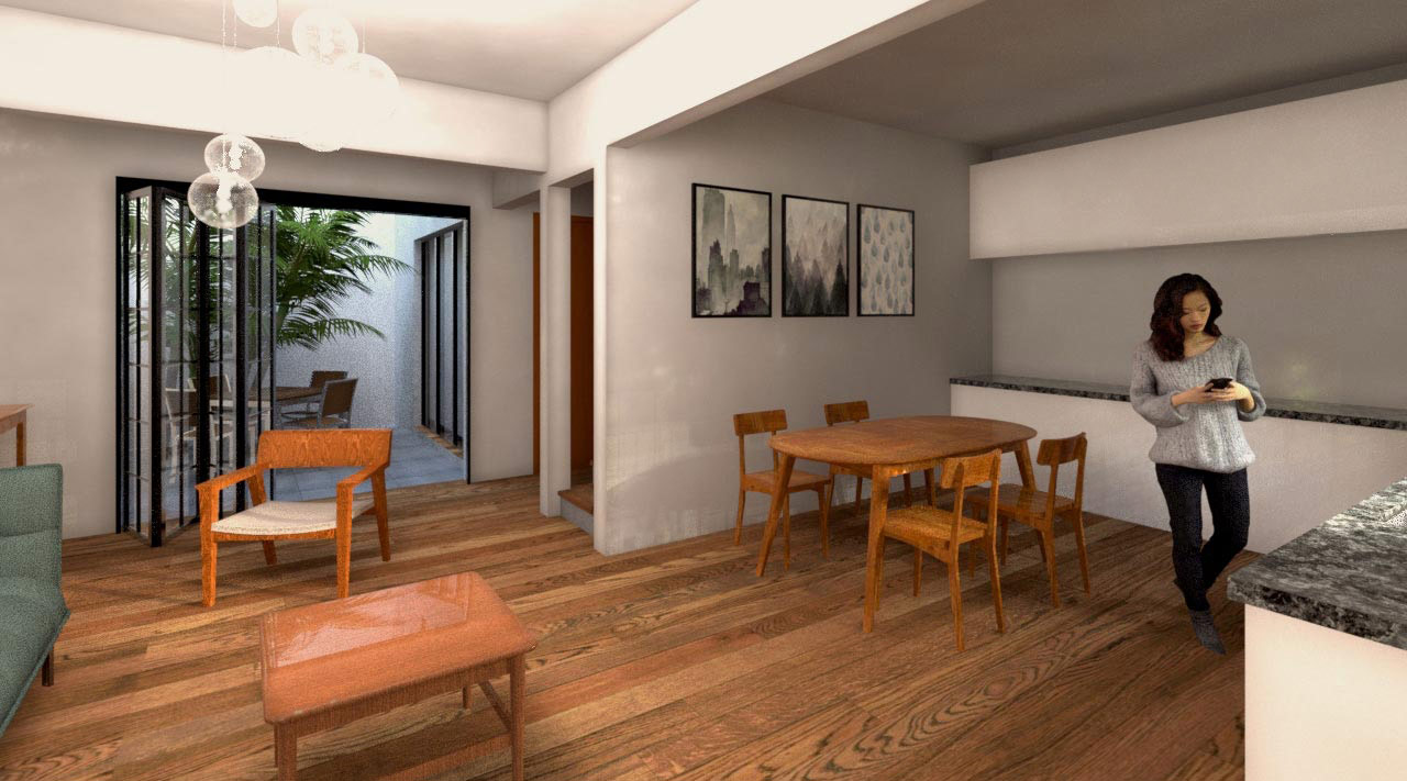 Mexico City Small House